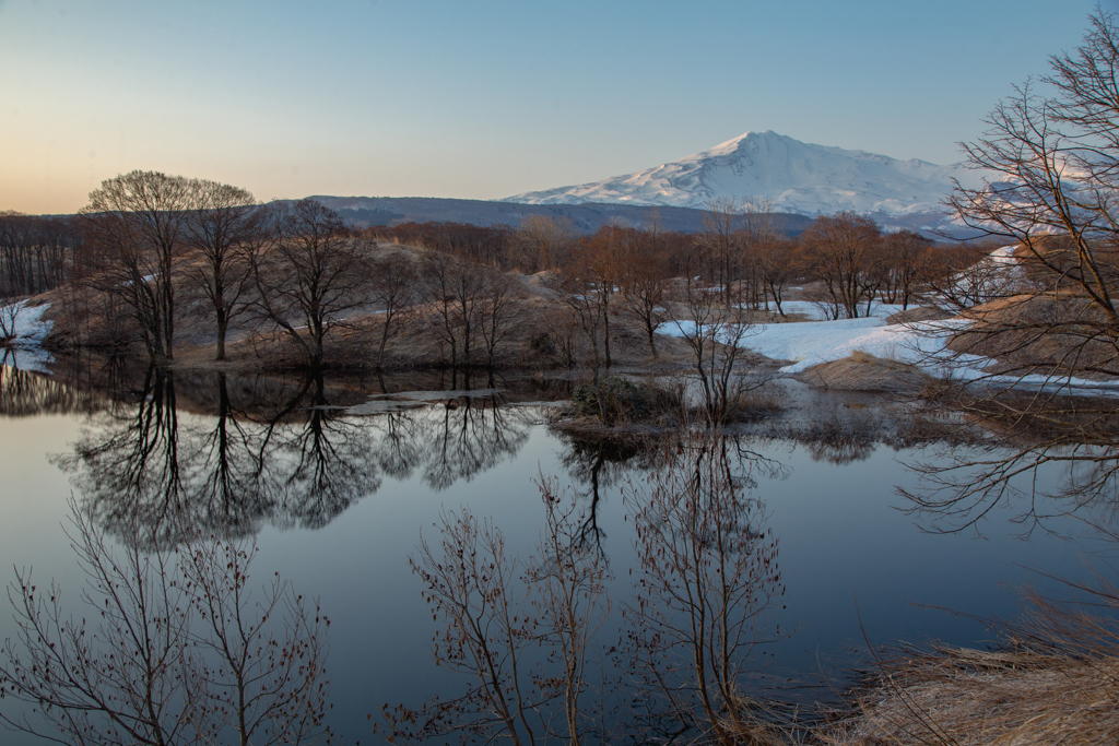 Spring Morning