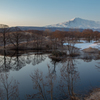 Spring Morning