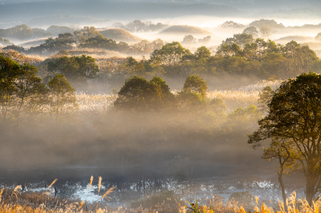 Morning light