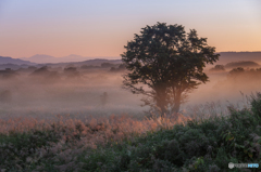 Autumn morning mist