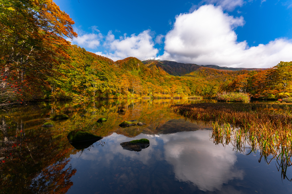 Autumn mirror