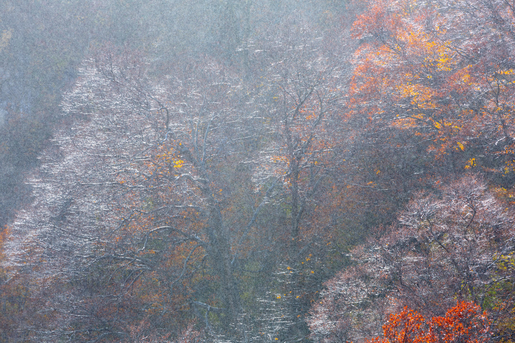 Light in the rain 2