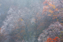 Light in the rain 2