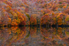 Autumn mirror