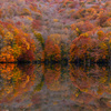 Autumn mirror