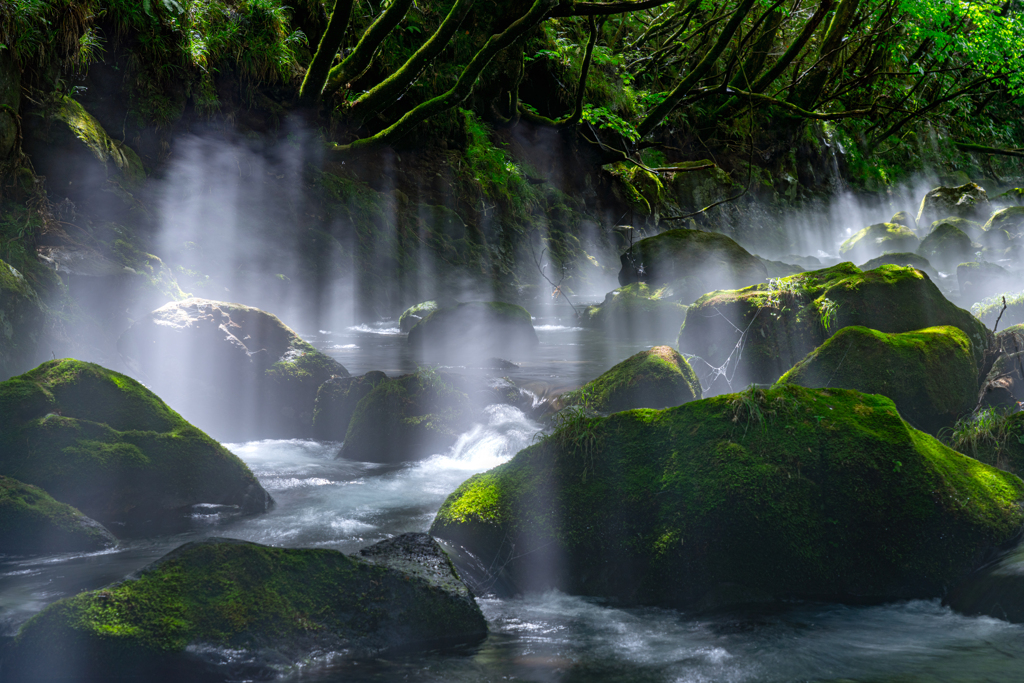 light in the stream