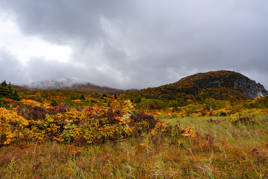 Autumn Colors