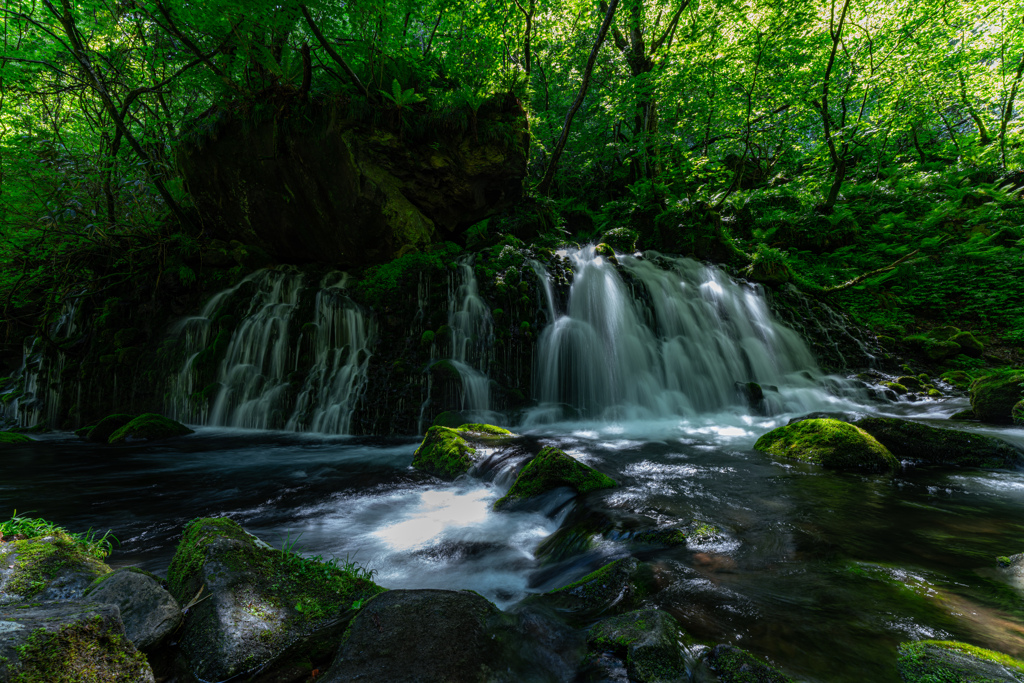 Green space
