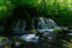Green space