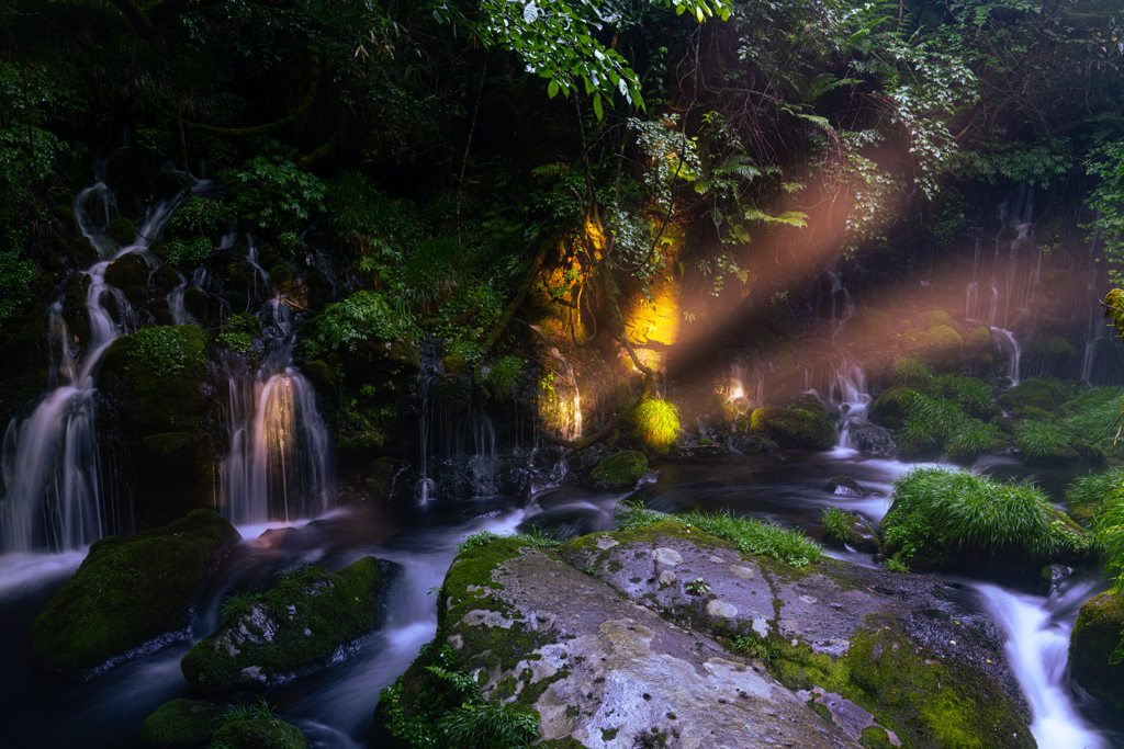 Evening light