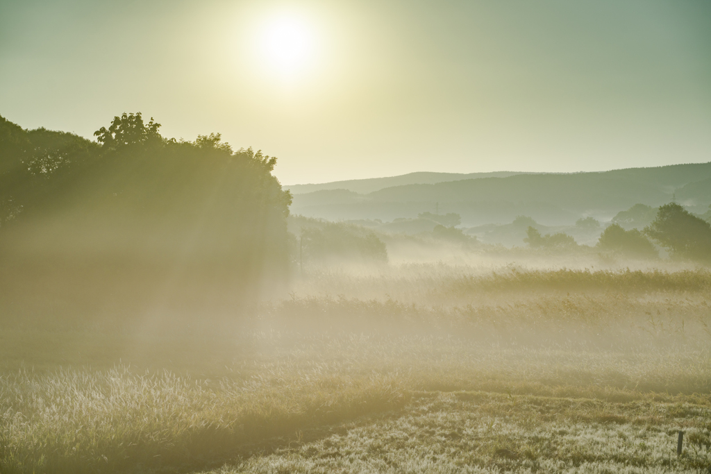 Autumn morning