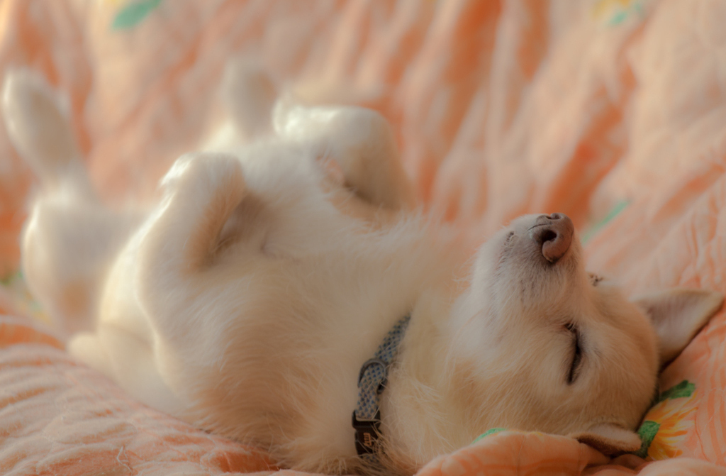 気持ちいい～！