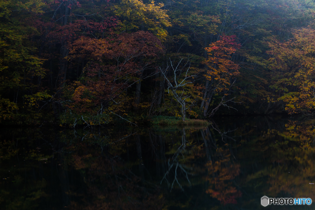 Luster color