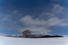 Frost night