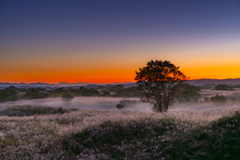 Autumn morning