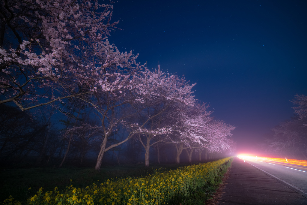 Nanohana Road