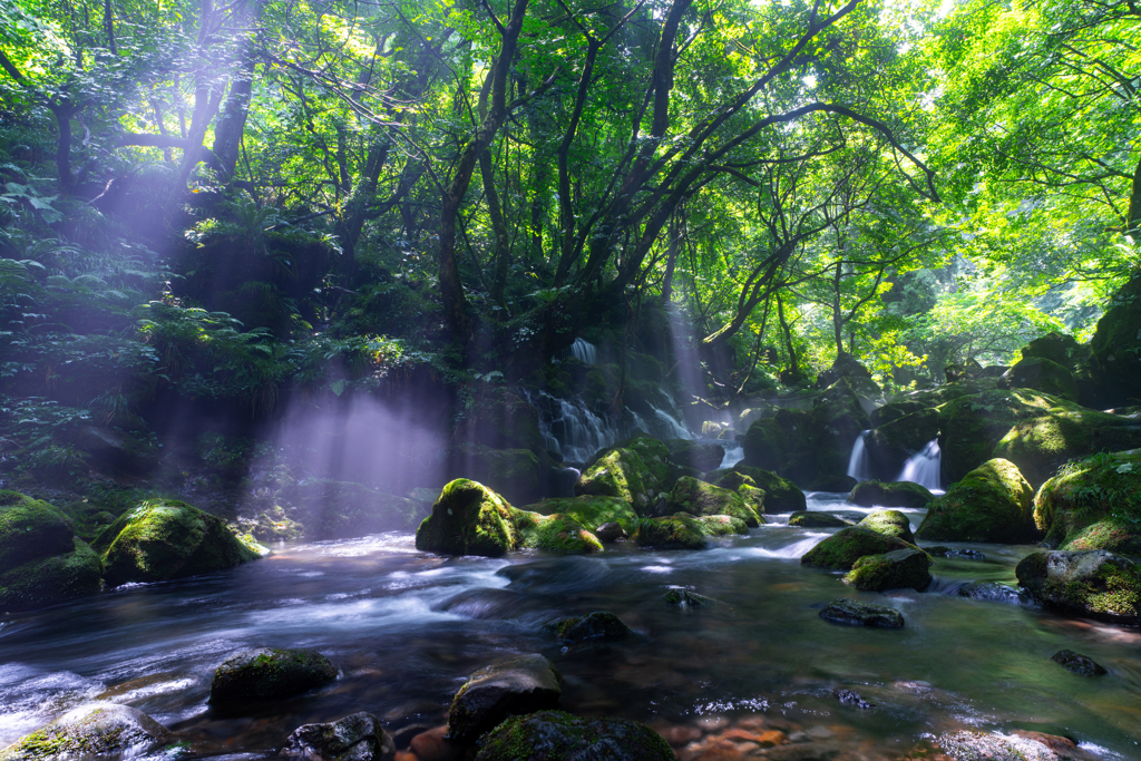 fleeting light