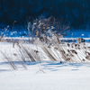 輝く雪原