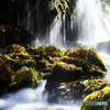 Autumn sunlight ～ Mototaki 2