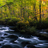 Autumn 　Morning light