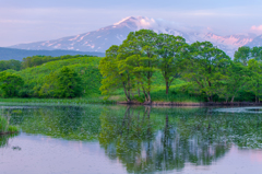 Spring morning Mt.cyoukai 2015
