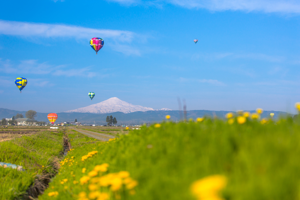 Balloon
