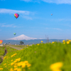 Balloon