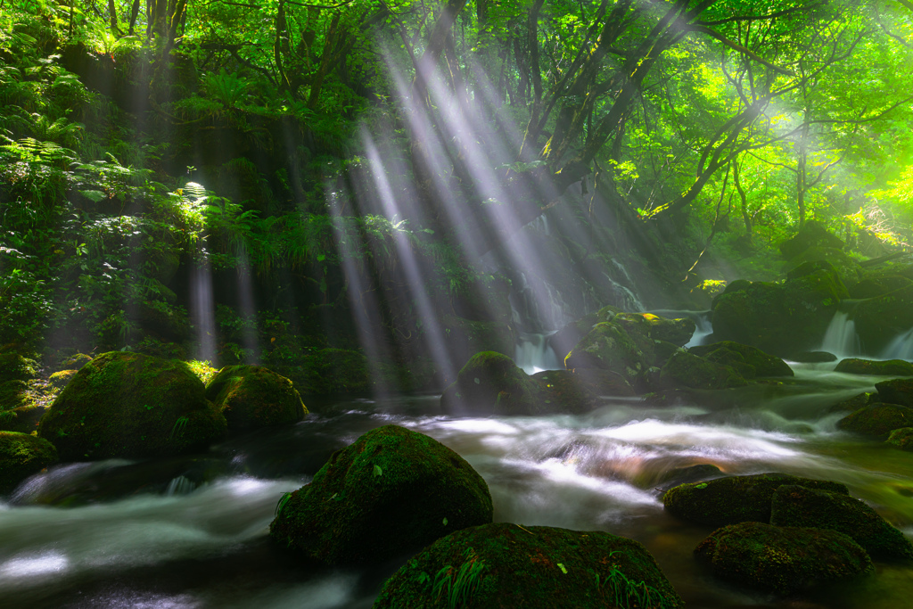 Pouring light