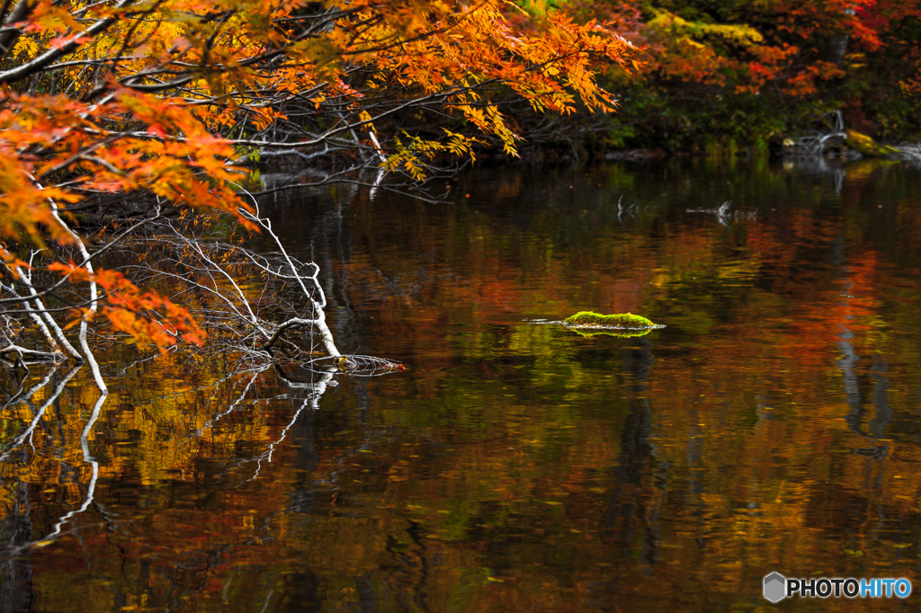 Autumn ridge ～ Turumaike
