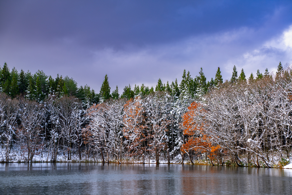 early winter