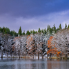 early winter