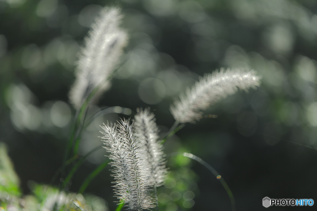 In The Morning ~ Toushi 3