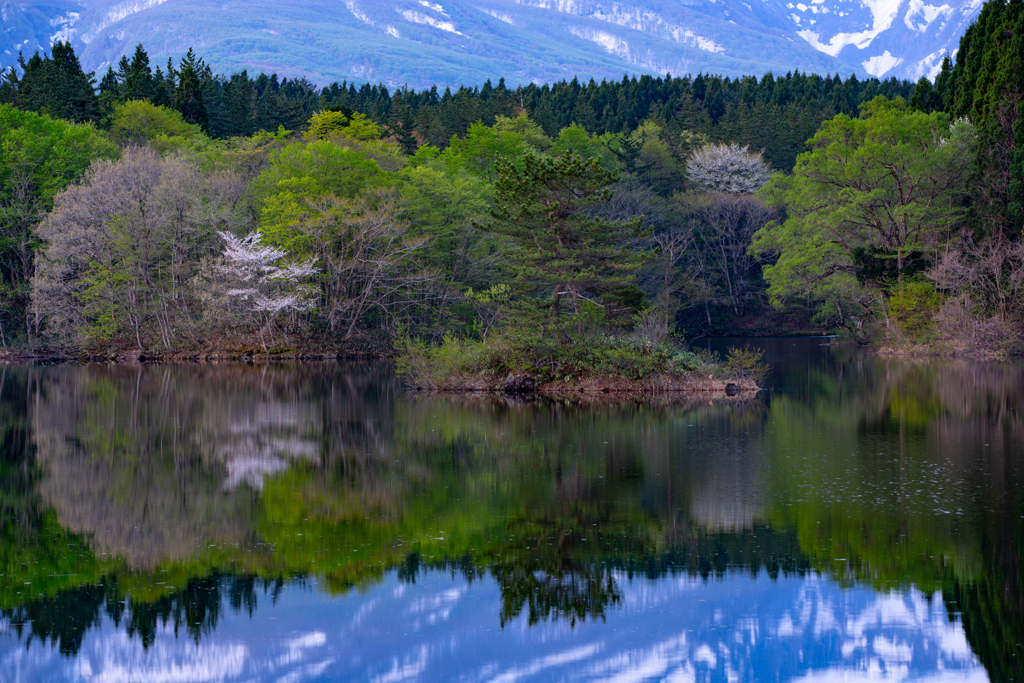 Spring shore
