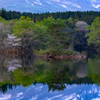 Spring shore