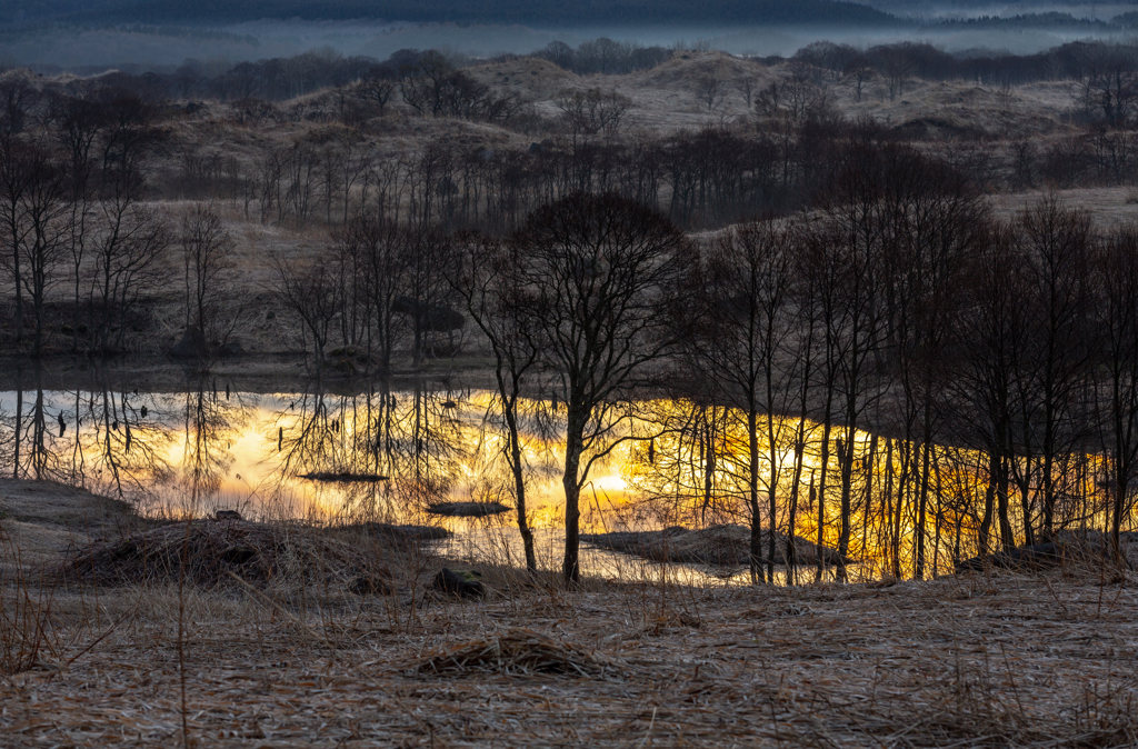 Morning glow