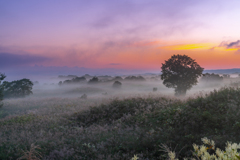 autumn morning