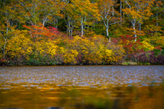 Autumn-colored shore