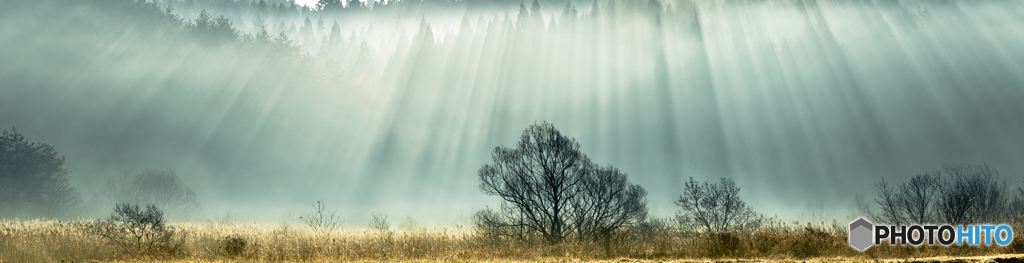 Curtain