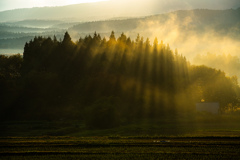 Autumn morning