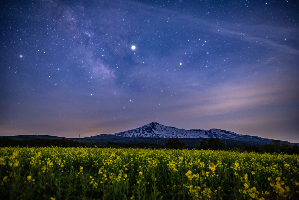 Midnight flower garden