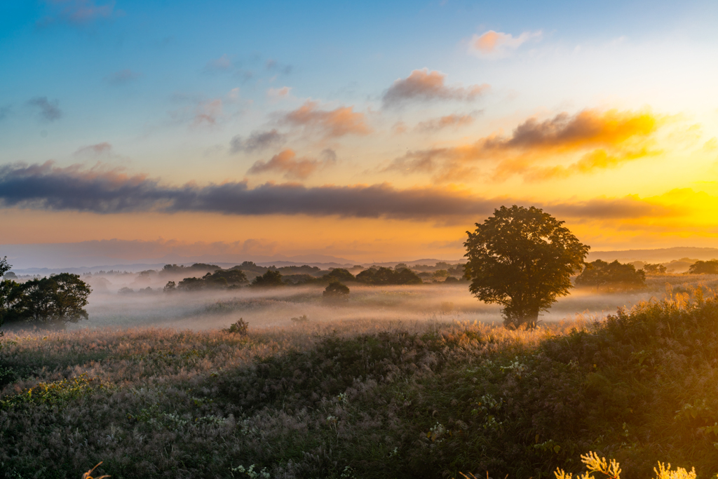 Morning light