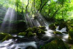 Light and stream