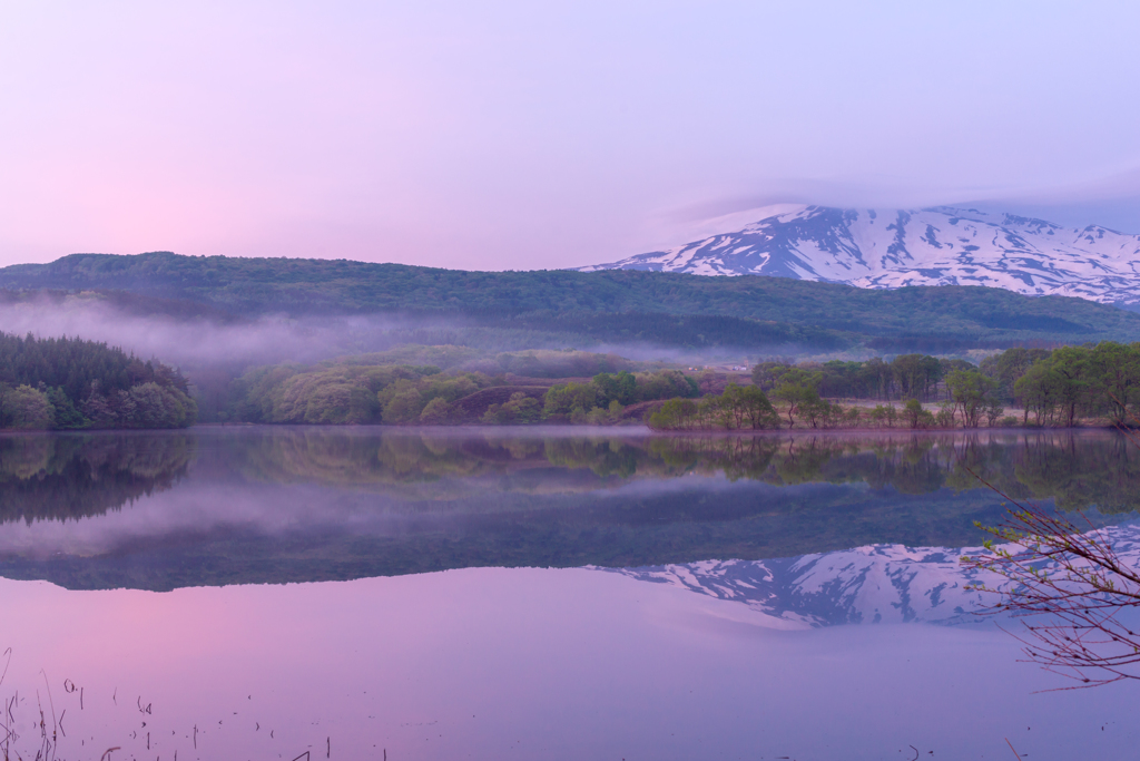 Morning mist
