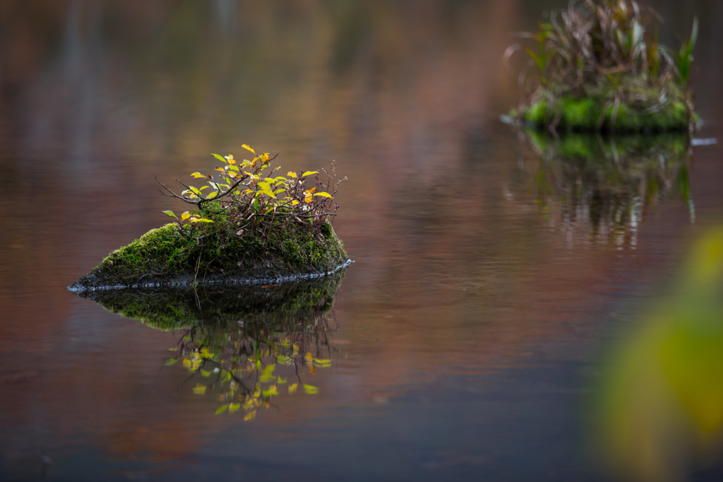 Autumn 〜 Turumaike