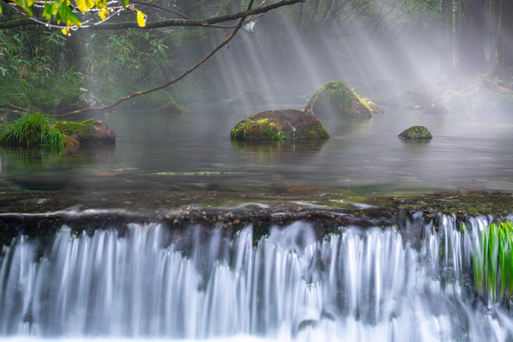 river fog