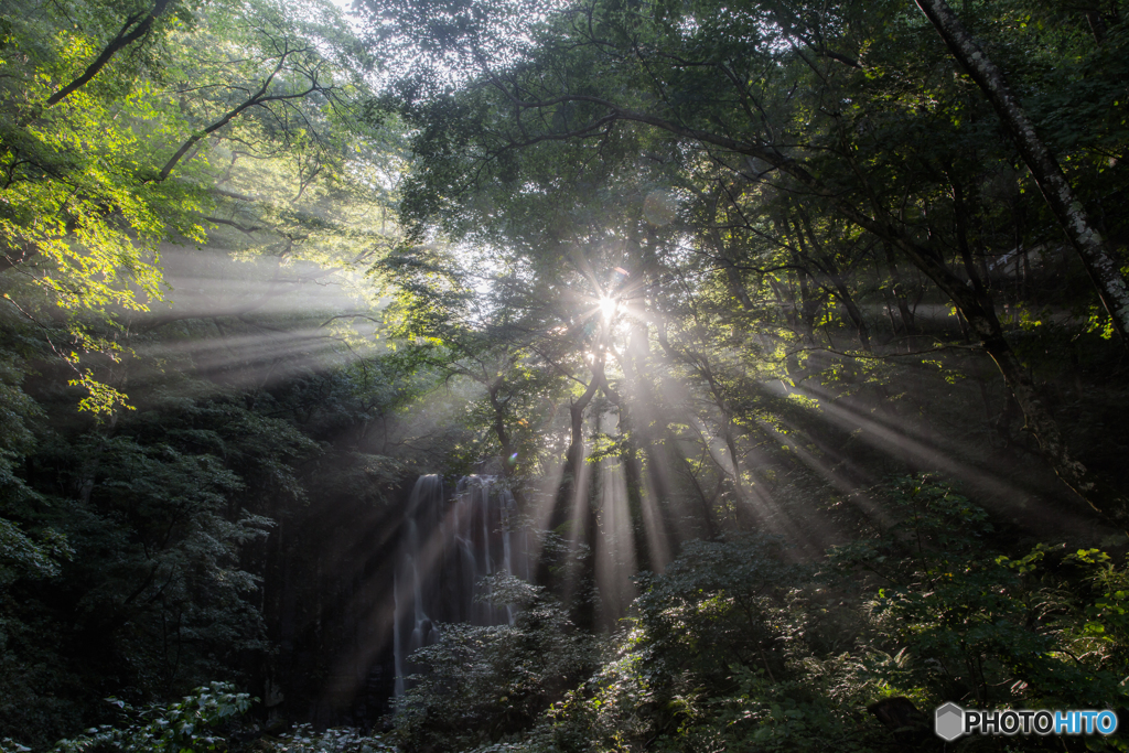 Light diffusion ～ kamedafudoutaki