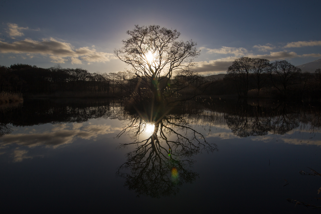 Sunrise