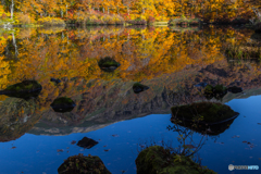 Autumn mirror