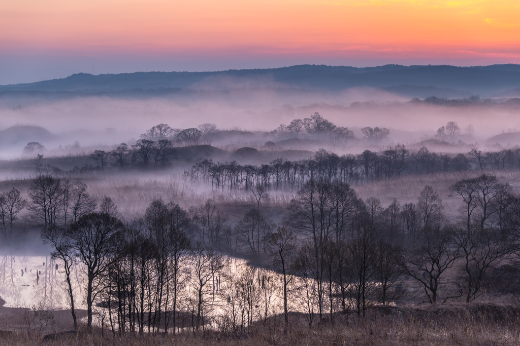 Spring Morning