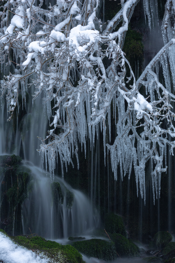 Freezing